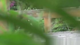 Tantalizing Japanese in skirt peeing behind bench in park