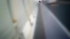 Kt-joker seicha001 Vol.01 Kt-joker seicha001 Thief Joker bicycle Skirt Vol.01