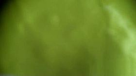 Greatest Changing Room Movie