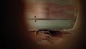 Hairy wife in bedroom (hidden cam)