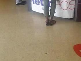 candid teen small booty