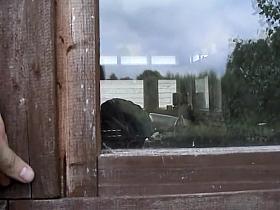 Privacy Invasion Voy03 6