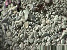 Big tits nudist blowjob and beach fuck