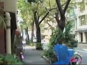 Stylish brown-haired Asian hoe getting involved in some public sharking