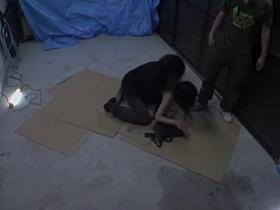 Top sharking movie with japanese cunt plugged by two rods