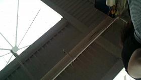 Teen tourist upskirt