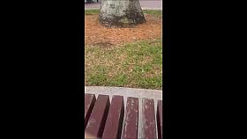 BOOTYFUL ass crack in jeans no underwear AMAZING