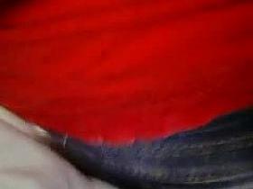 ARRIMON A MADURA EN BUS