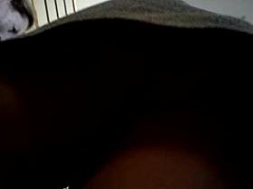 upskirt my cousin in crhristmas launch