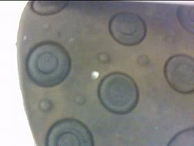 A black haired teeny lady realizes that a voyeur is filming her during pissing