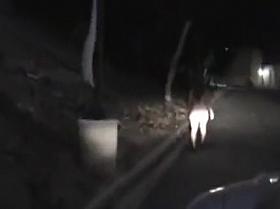 Drunk nympho masturbates in the street