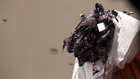 Perfect blonde chick amateur voyeur upskirt vid