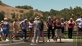 Crazy people flashing their butts to the train