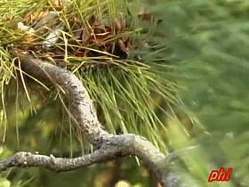 Red is the color of passion so she wore it skirt sharking