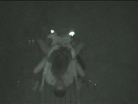 From VOYEURPACK com file1247