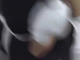 Maid Cute Cute Omnibus 8