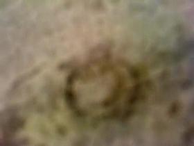 Amazing peeper Showers xxx movie