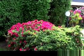 voyeur papy needs sex