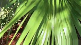 Stranded teen bangs in exbfs house