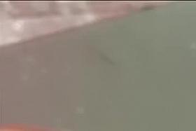 Non nude private video with the tits of cute asian chicks