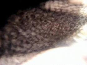 Spy cam hunter looks into the beach cabin from below