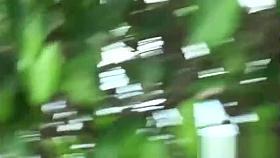 Beautiful teen slut develops her cock-sucking skills