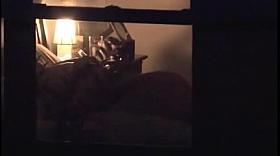 real amateur hidden lesbian couple hotel voyeur