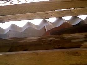 espiando a mi vecina