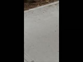 Voyeur Ass, Getting Better Captures