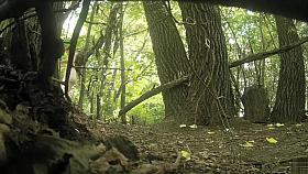 Classy bridesmaids take a piss together in the woods