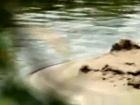 River bank mutual oral sex and fuck