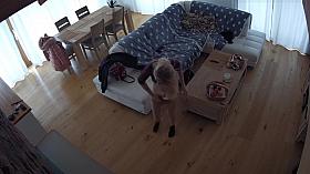 Hidden camera, brought the mistress