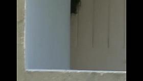 Neighbour changing in Balcony