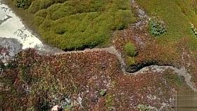 Naked guy likes boning girls on the sunny weekend