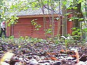 European Porn 2014092906 - Quickie witnesses sex at the wedding. 2014092906 - Quickie