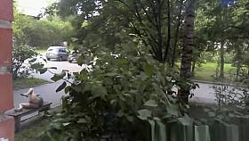 Drunk older woman without pants