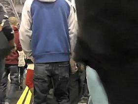 I think I broke brocode