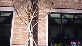 Exotic porn video Voyeur great , watch it