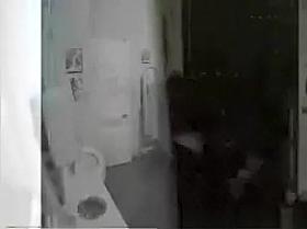 Hidden toilet cam