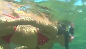 Mergulhando com a novinha