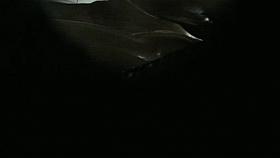 Hidden Cam: Pool Cabin 003