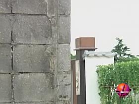 Cat goes near the legs of a babe who gets wet sharking video