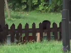 Black-haired pretty bimbo is texting her boyfriend in the middle of sharking