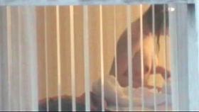 Neighbor college girl