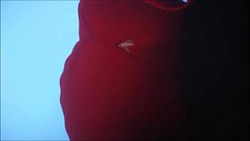 Upskirt 78 Milf Latina Piernotas