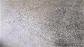 boso upskirt 2 panty shorts