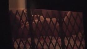 La petite mort - part deux