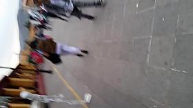 leggings transparent