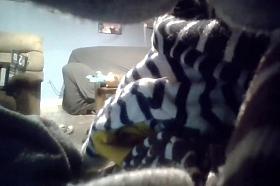 Wiffy Fucked On Coutch