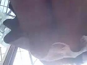 bajo la falda inperdible